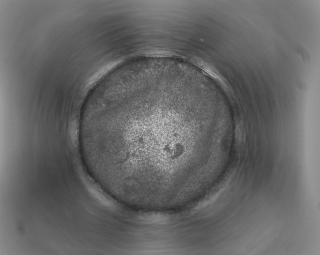 X0000113860533200910081708