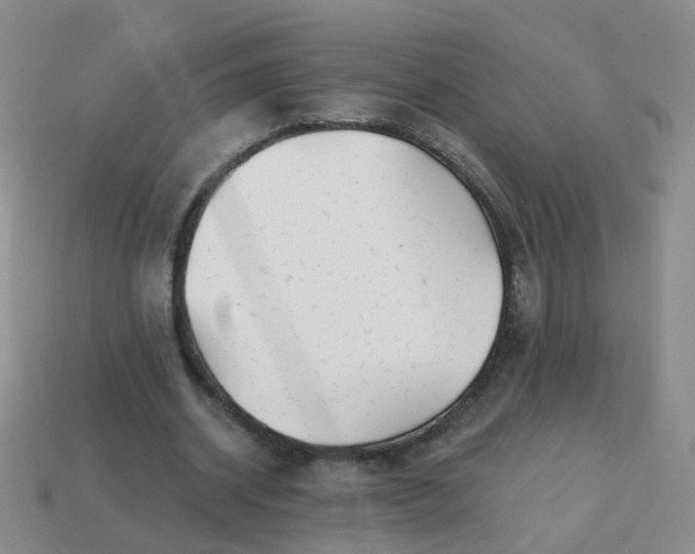 X0000113860534200910081708