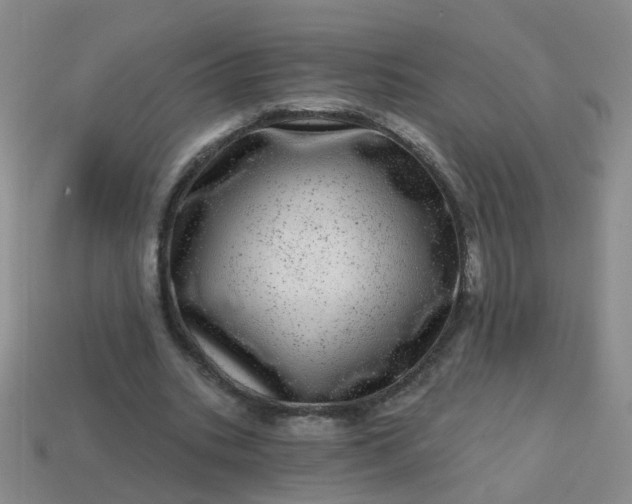 X0000113860535200910081708