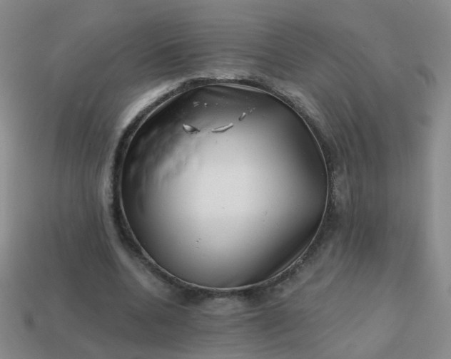 X0000113860536200910081708