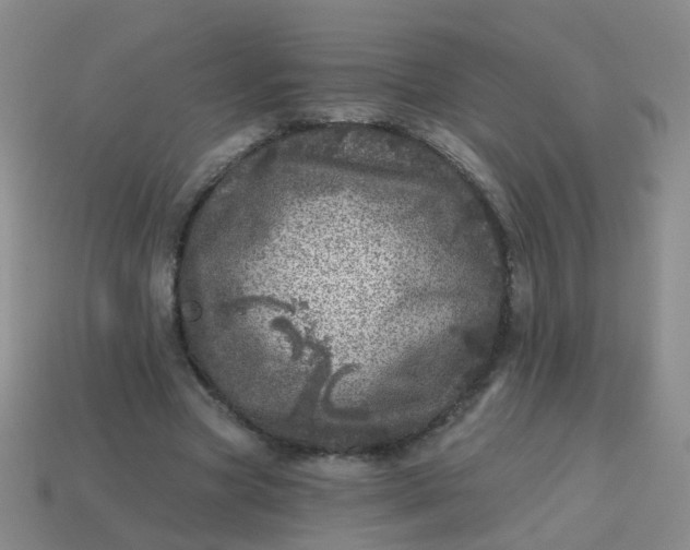 X0000113860537200910081708