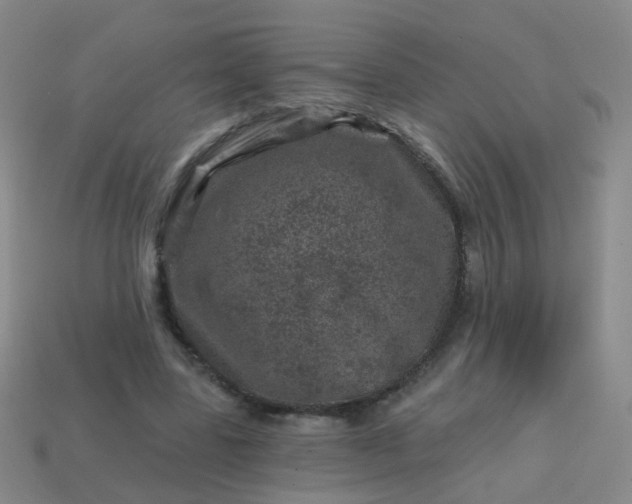 X0000113860539200910081708