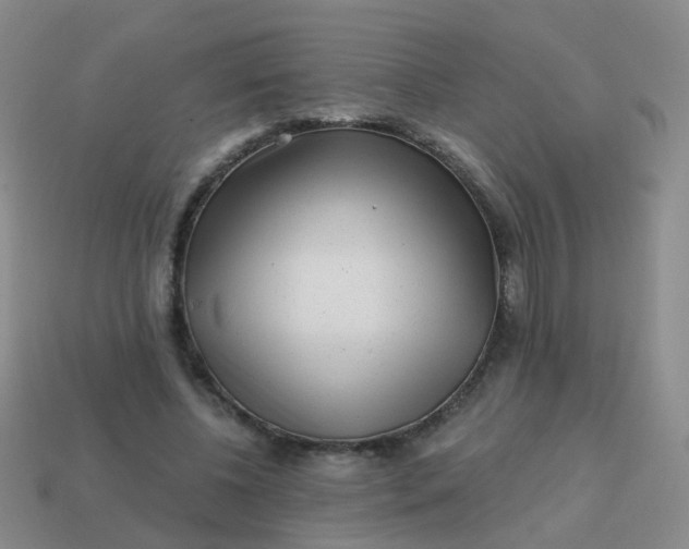 X0000113860540200910081708