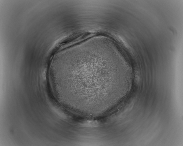 X0000113860543200910081708