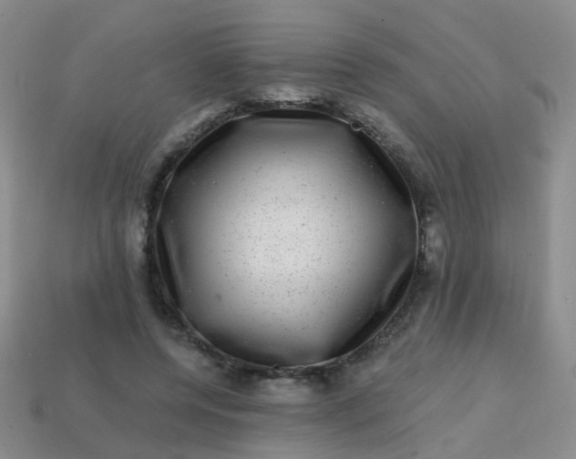 X0000113860544200910081708