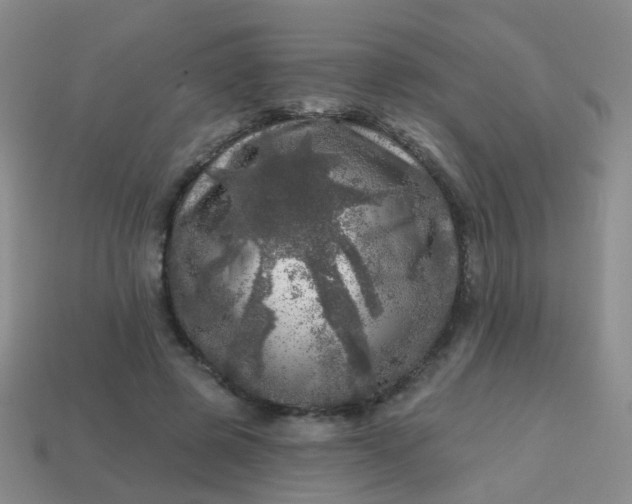 X0000113860545200910081708