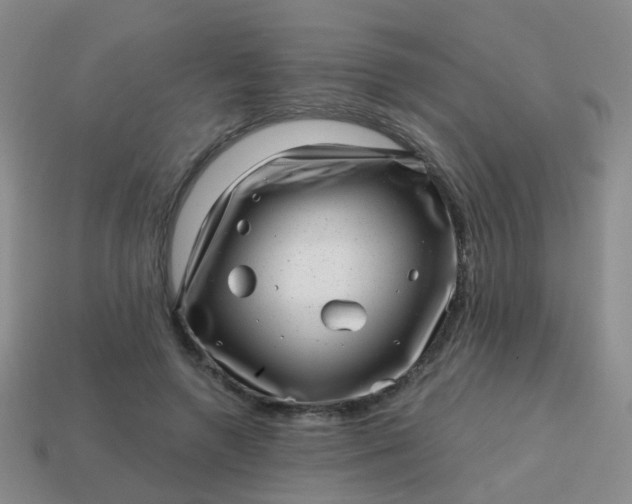 X0000113860546200910081708