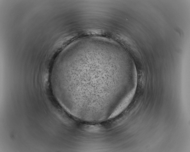 X0000113860548200910081708