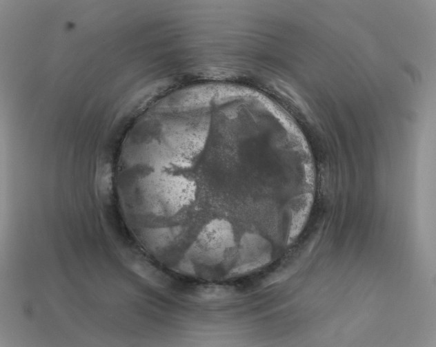X0000113860549200910081708