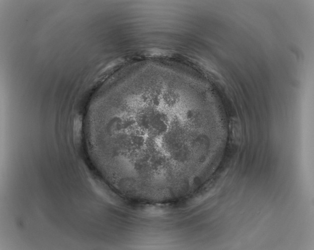X0000113860550200910081708