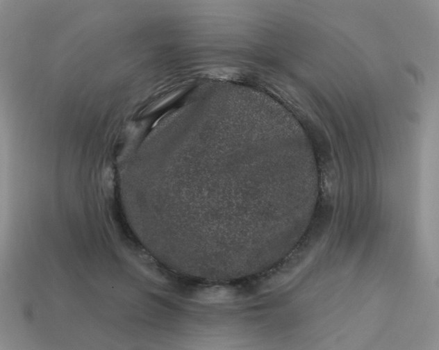 X0000113860551200910081708