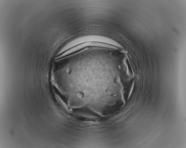 X0000113860552200910081708