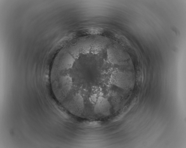 X0000113860553200910081708