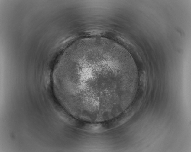 X0000113860554200910081708