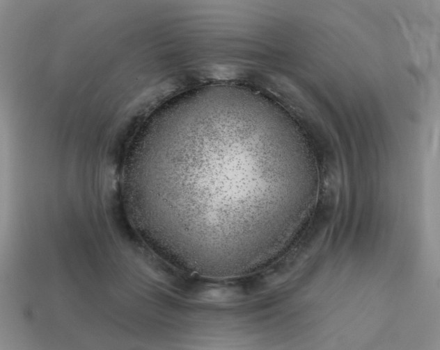 X0000113860555200910081708