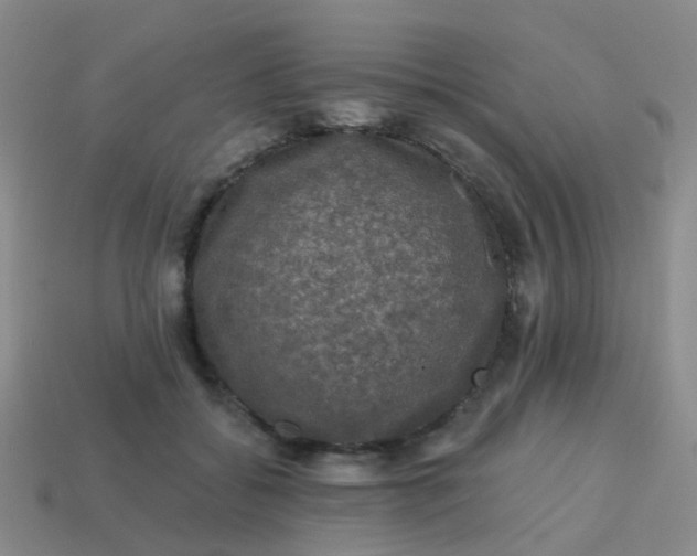 X0000113860556200910081708