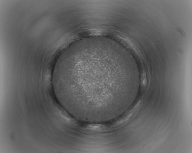 X0000113860557200910081708