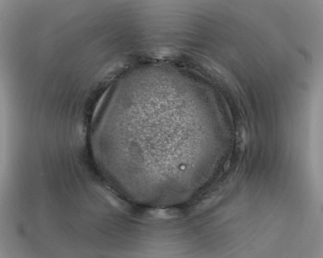 X0000113860558200910081708
