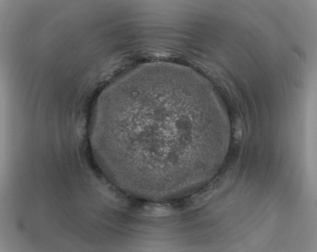 X0000113860559200910081708