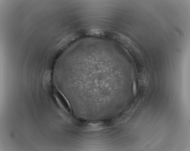 X0000113860560200910081708
