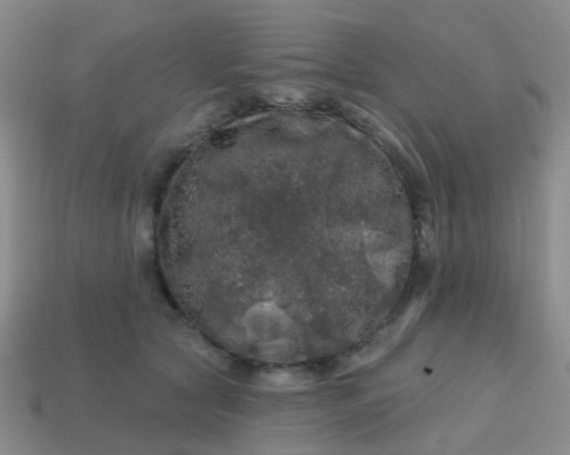 X0000113860561200910081708