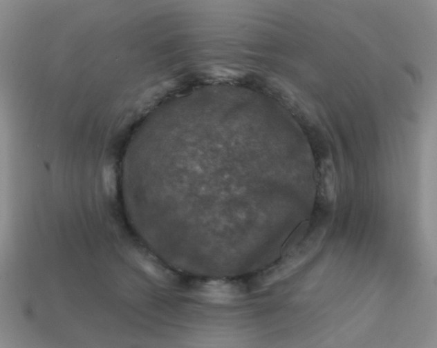 X0000113860562200910081708