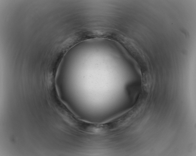 X0000113860563200910081708