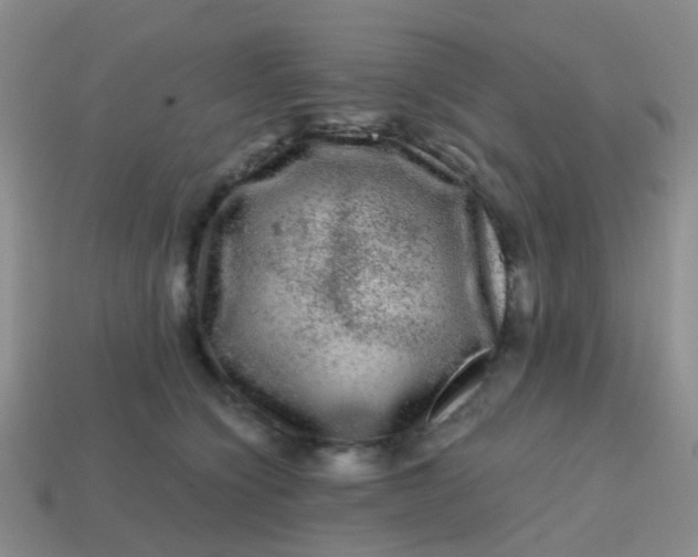 X0000113860564200910081708