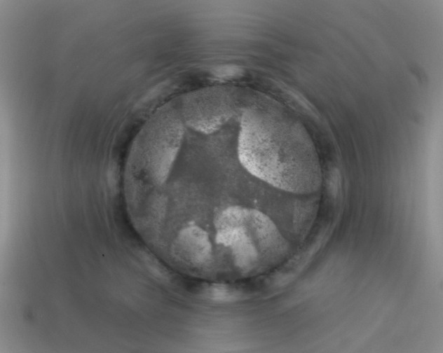 X0000113860565200910081708