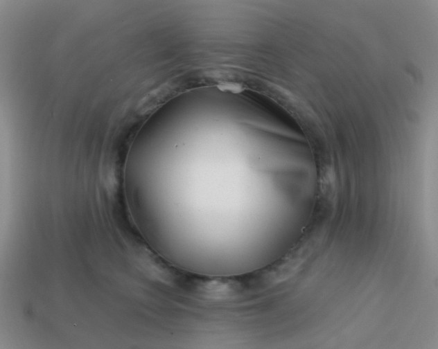 X0000113860566200910081708