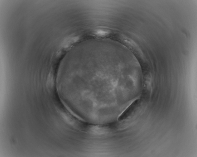 X0000113860568200910081708