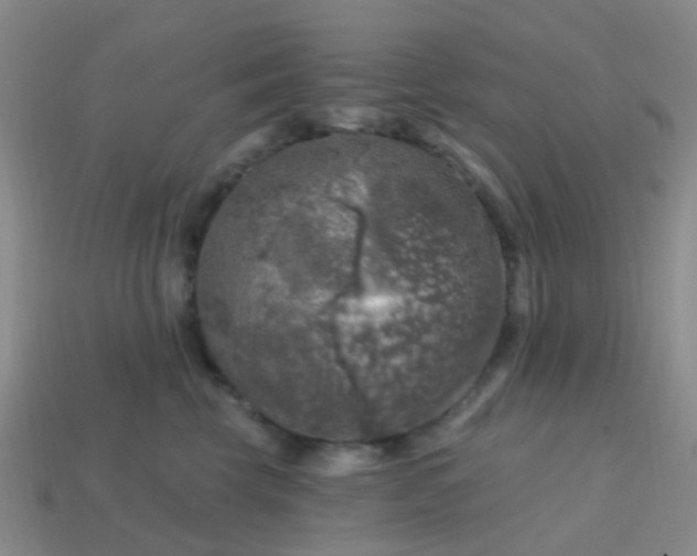 X0000113860569200910081708