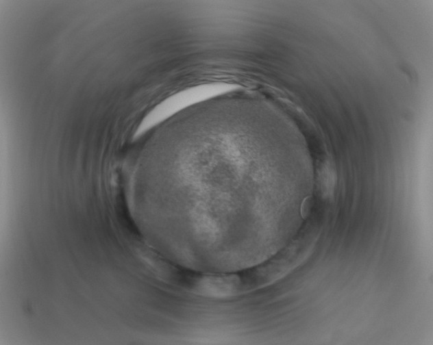 X0000113860571200910081708