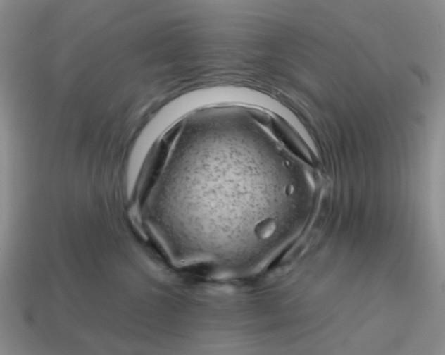 X0000113860572200910081708