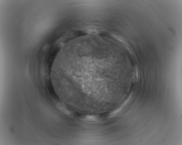 X0000113860573200910081708