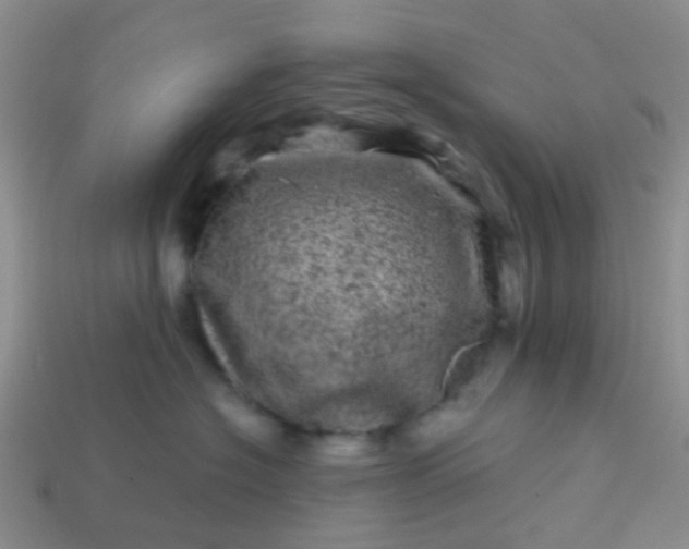 X0000113860574200910081708