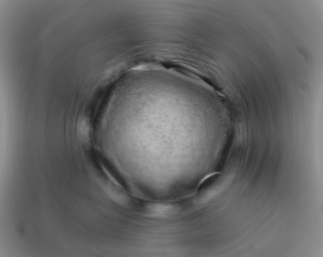 X0000113860575200910081709
