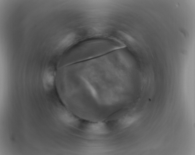 X0000113860576200910081709