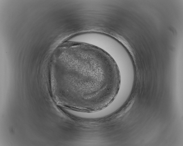 X0000113860577200910081708