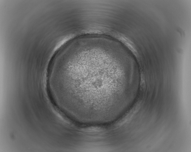 X0000113860578200910081708