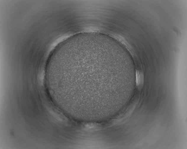 X0000113860579200910081708