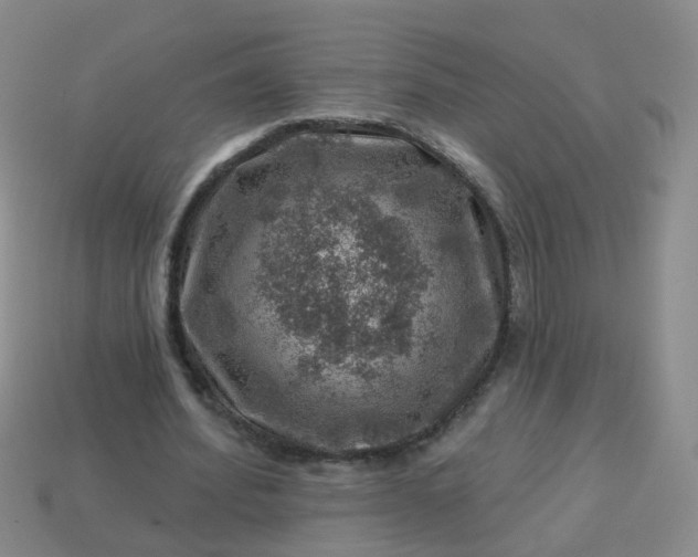 X0000113860580200910081708