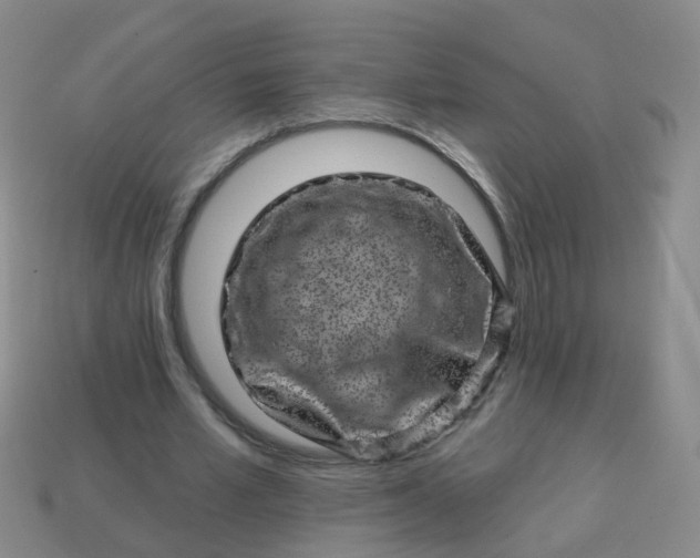 X0000113860581200910081708