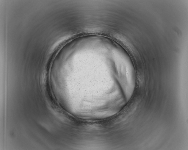 X0000113860583200910081708