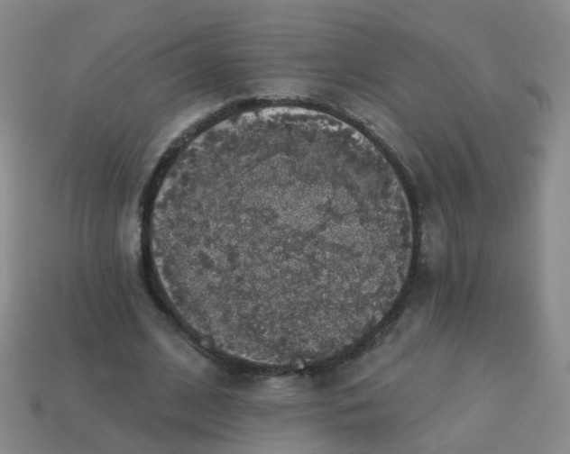 X0000113860584200910081708