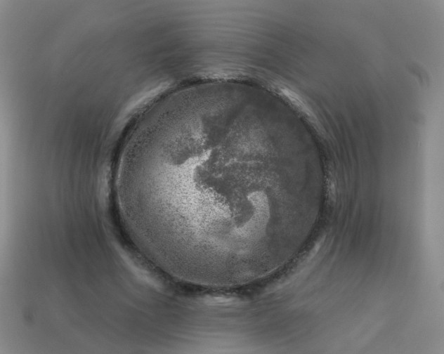 X0000113860586200910081708
