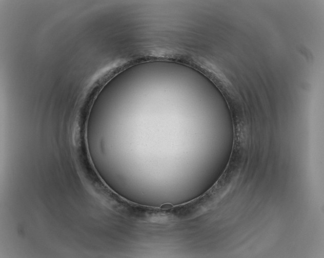X0000113860587200910081708