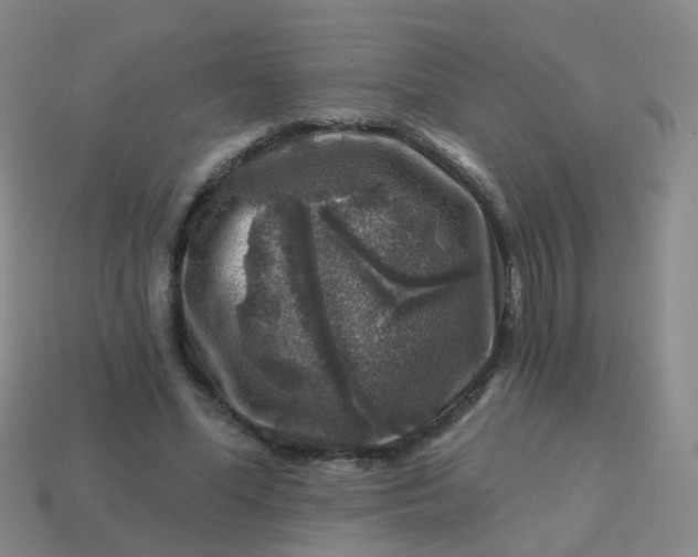 X0000113860588200910081708