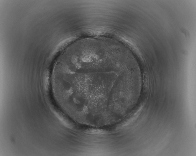 X0000113860590200910081708