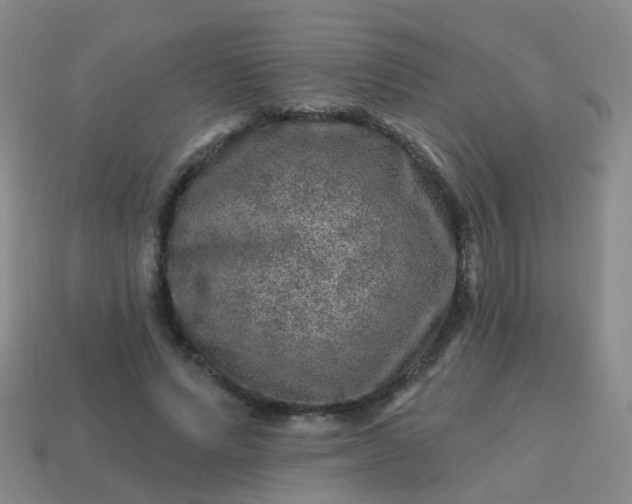X0000113860591200910081708